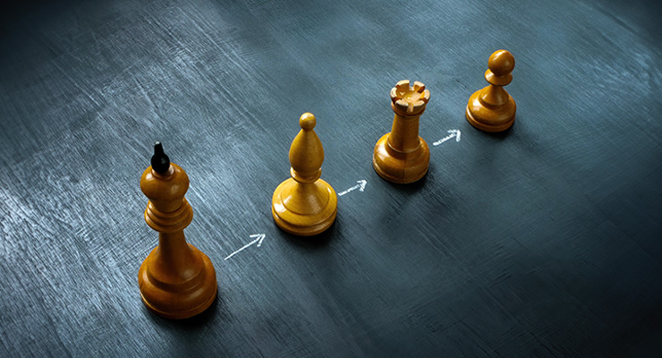 Chess pieces laid out in order of rank, representing succession planning