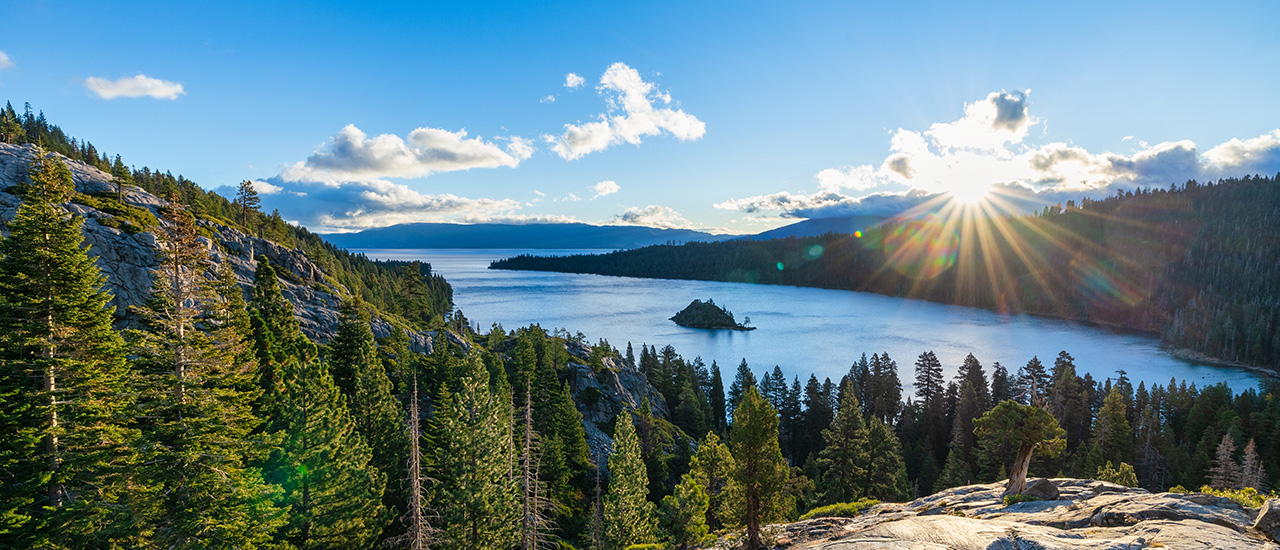 page header image