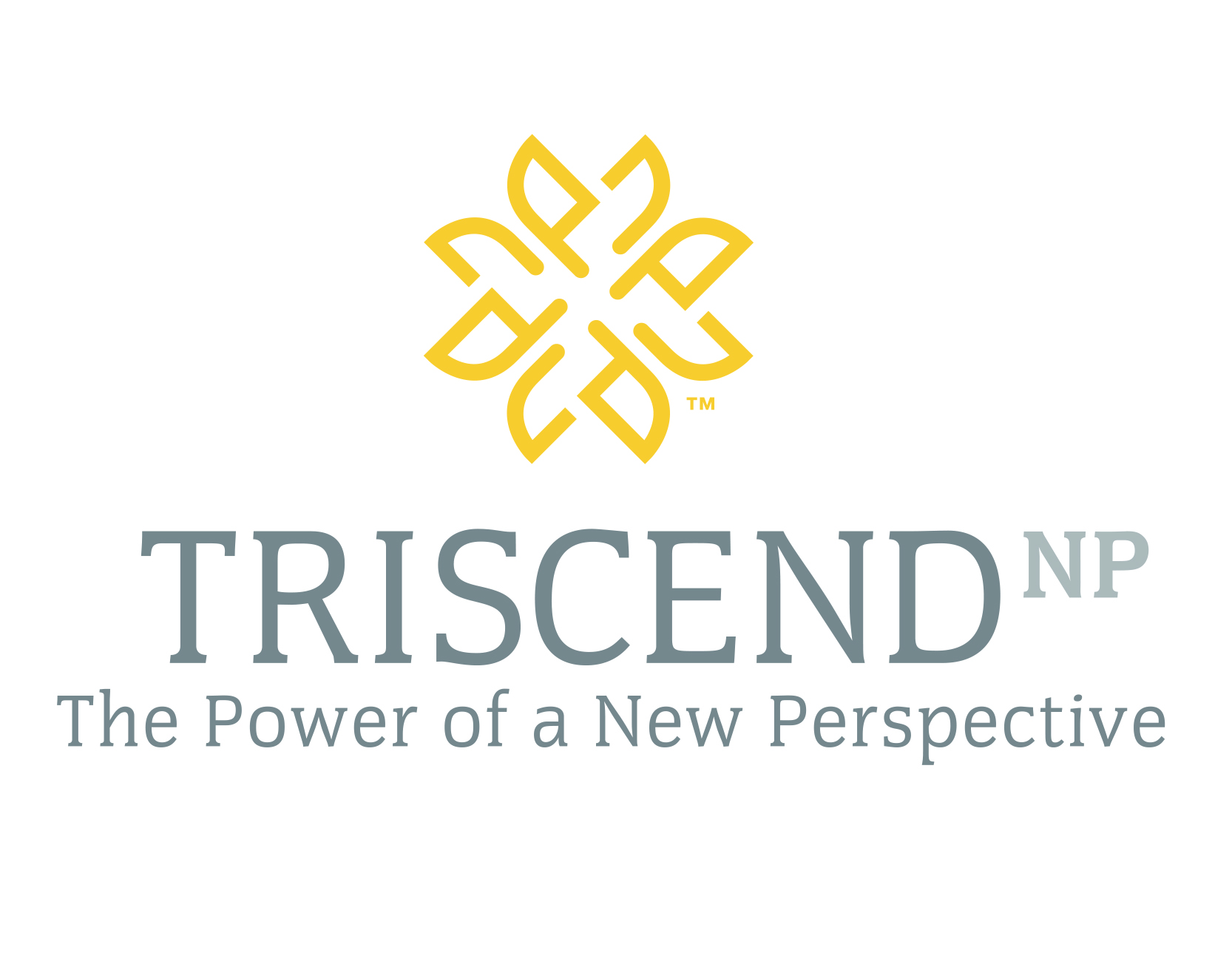 Triscend Logo