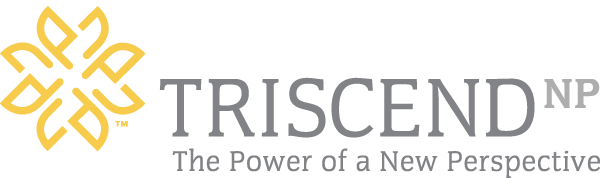 Triscend
